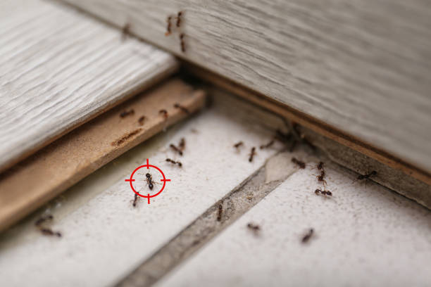 Best Residential Pest Control  in Greenbrier, TN