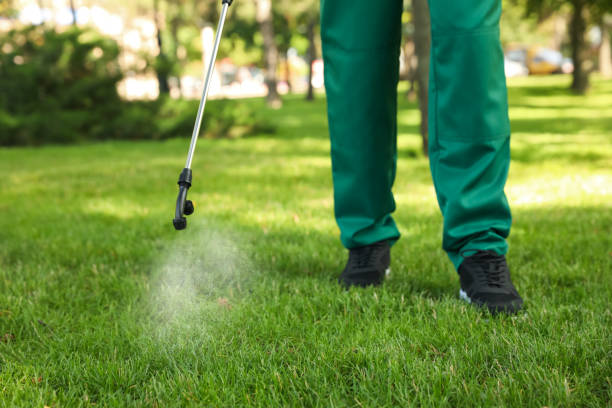Best Termite Control Services  in Greenbrier, TN