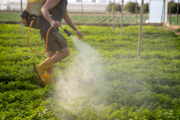 Pest Prevention Services in Greenbrier, TN