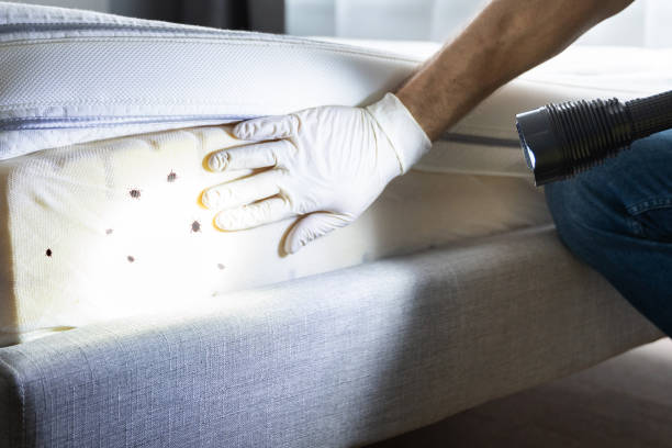 Best Bed Bug Extermination  in Greenbrier, TN