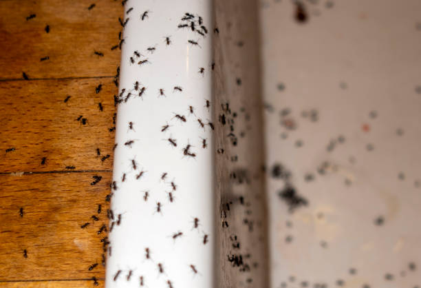 Best Pest Prevention Services  in Greenbrier, TN