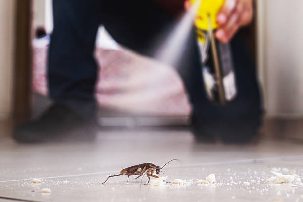 Best Wildlife Control Services  in Greenbrier, TN