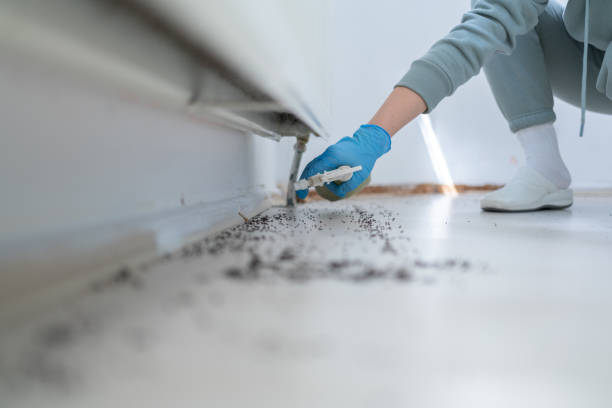 Flea Control Services in Greenbrier, TN